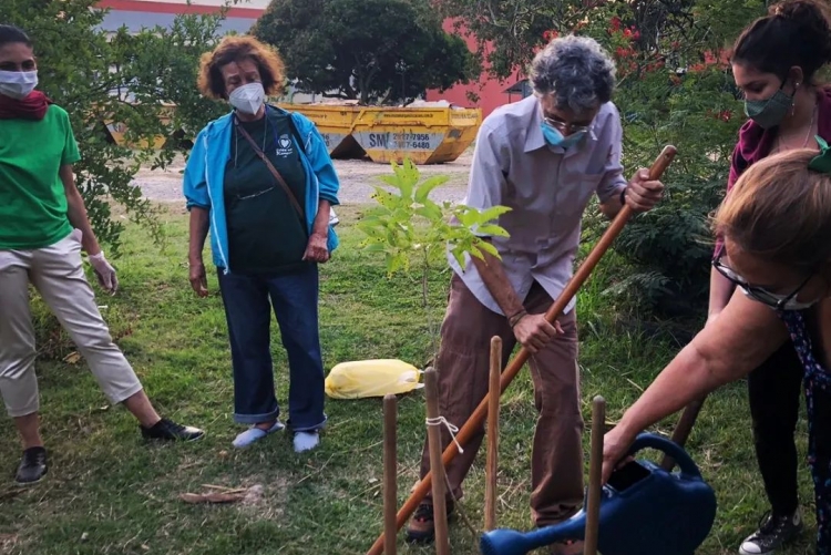 Quatro integrantes do Programa Vida no Campus plantando muda de árvore na área externa do Gragoatá. 