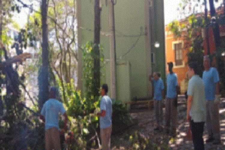 Equipe da SWAT realizando o corte da árvore que caiu no Campus do Valonguinho perto da NAL