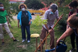 Quatro integrantes do Programa Vida no Campus plantando muda de árvore na área externa do Gragoatá. 