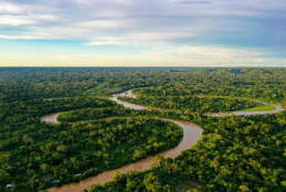 A floresta amazônica, maior floresta tropical do mundo