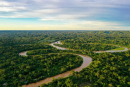 A floresta amazônica, maior floresta tropical do mundo