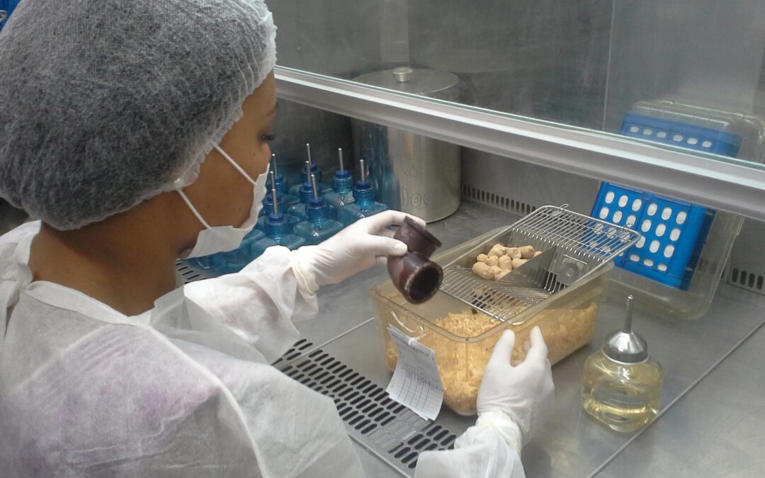 Ética em pesquisa animal é destaque no Núcleo de Animais de Laboratório da UFF