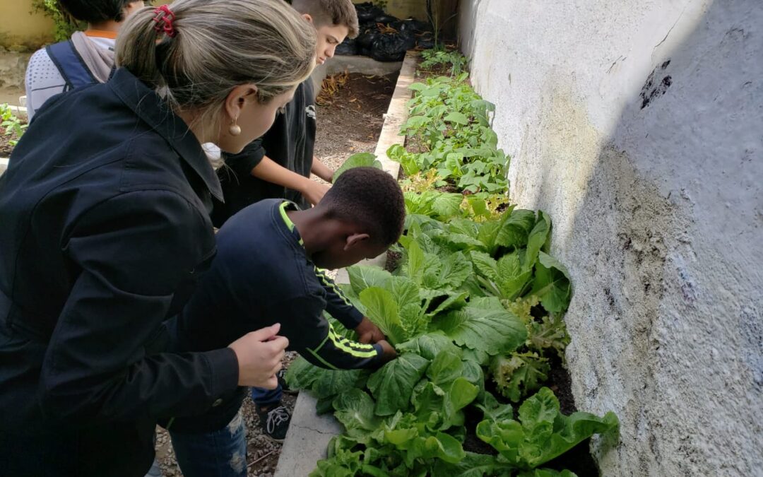 UFF lança Catálogo de Tecnologias Sociais 2022