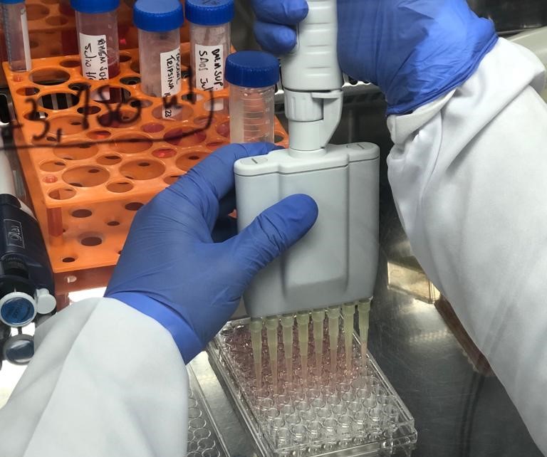 NA.ROOTS: dos implantes dentários para tratamento de defeitos à soluções para o câncer ósseo