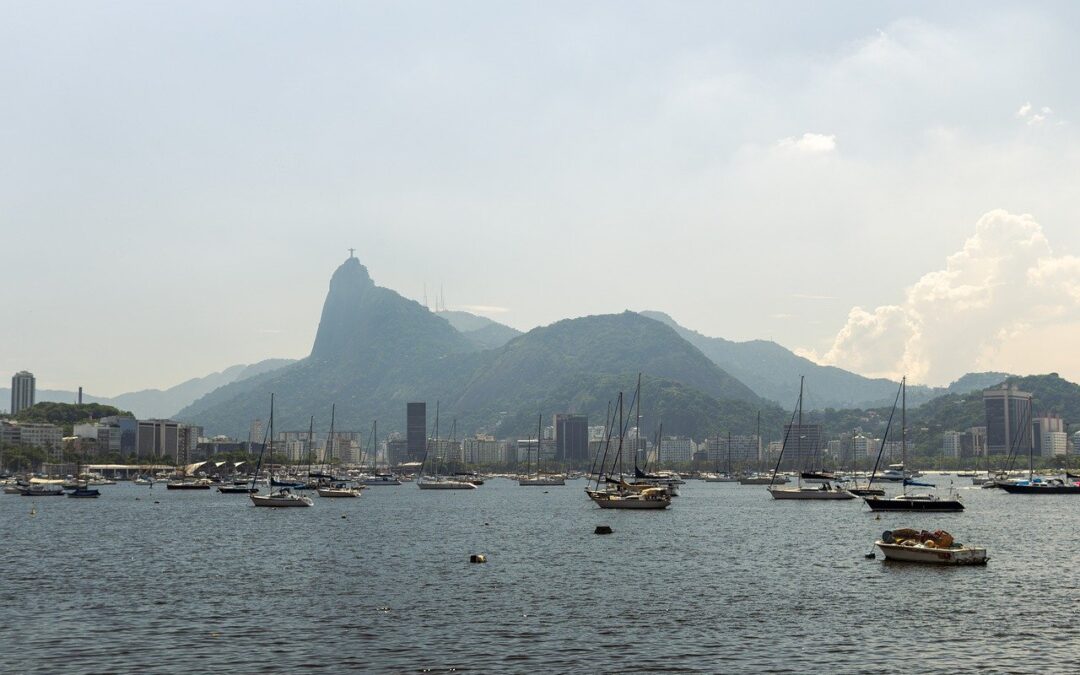 Algas podem alertar sobre contaminação da Baía de Guanabara