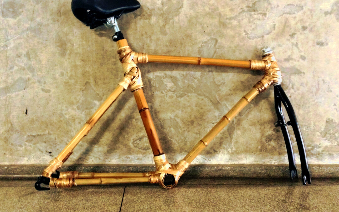 Bambucicleta: curso de Desenho Industrial incentiva inovações sustentáveis