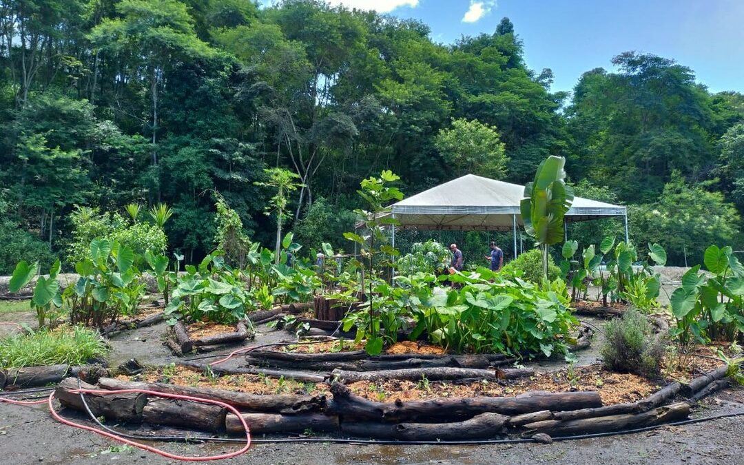 Centro de educação ambiental reaproveita resíduos orgânicos de merenda para converter em adubo