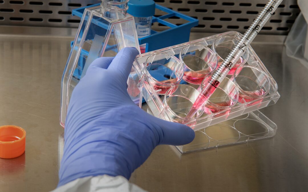 Centro de Testagem da UFF multiplica exames de COVID-19 com a chegada de um robô