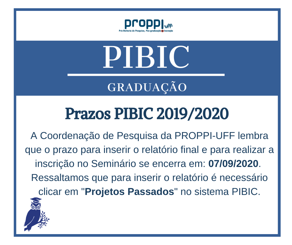 copia_de_relatorio_parcial-pibic_em_23