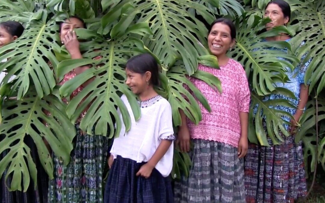 Pesquisa da UFF reúne e amplia o alcance de produções cinematográficas de mulheres indígenas