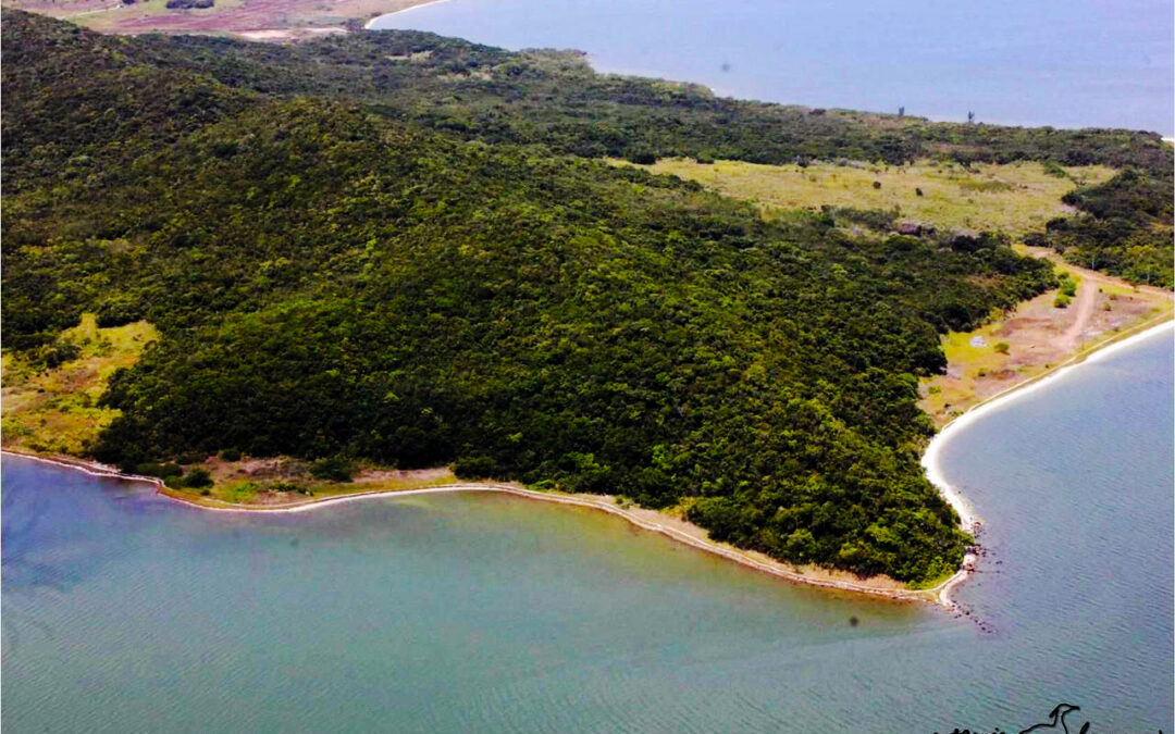 Núcleo de Pesquisas da UFF atua no desenvolvimento sustentável de áreas de preservação ambiental no Estado do RJ