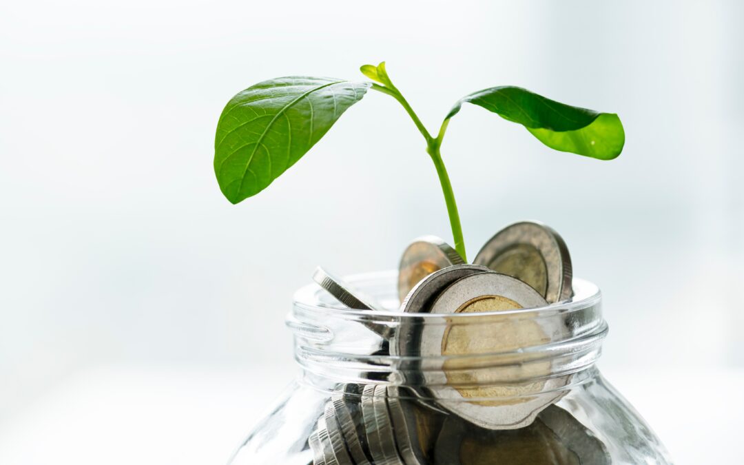 PDPA: UFF e Niterói planejam criação de moeda digital com foco em preservação do meio ambiente