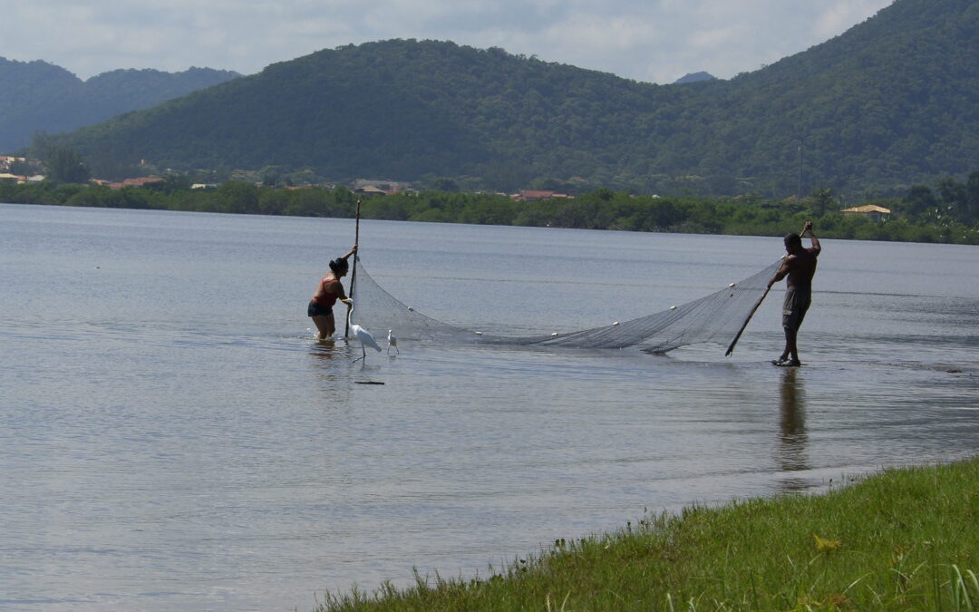 Estudo da UFF alerta para o crescimento acelerado dos mangues na Lagoa de Itaipu