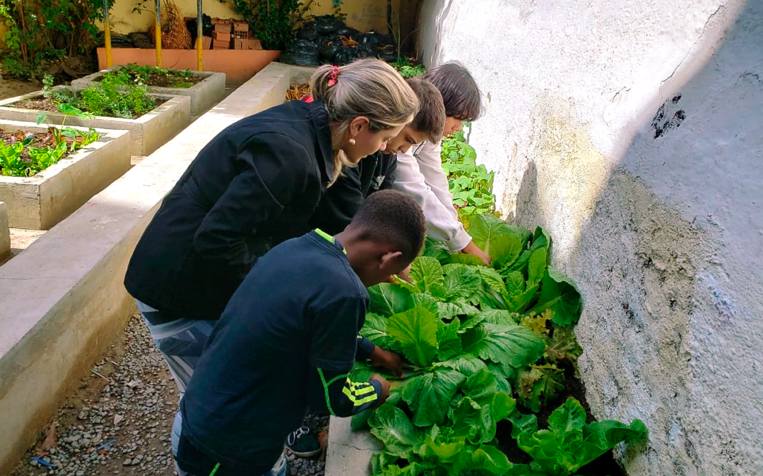A revolução começa na mesa: Projeto da UFF de Hortas Pedagógicas denuncia mazelas da indústria alimentar