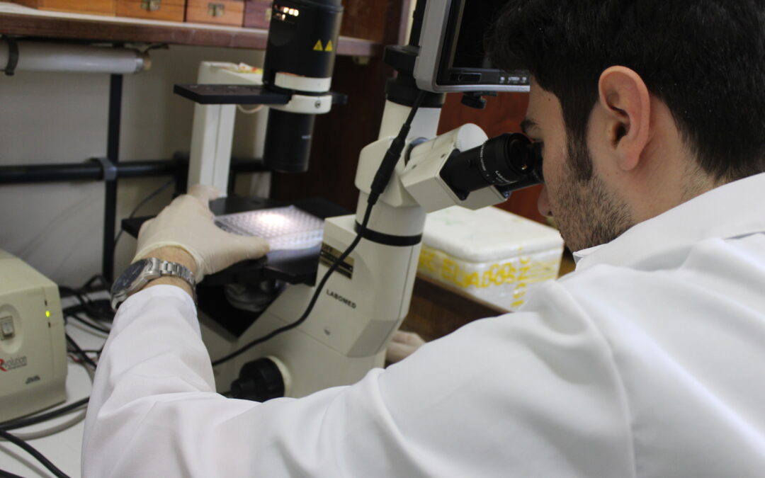 UFF lança projeto de Divulgação Científica