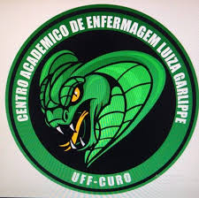 logo_centro_academico_de_enfermagem_luiza_garlippe