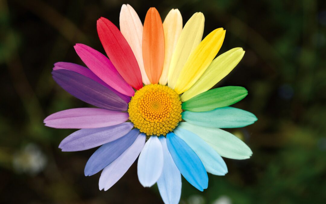 Grupo de Pesquisa da UFF se destaca em ações de defesa dos direitos humanos da população LGBTQIA+