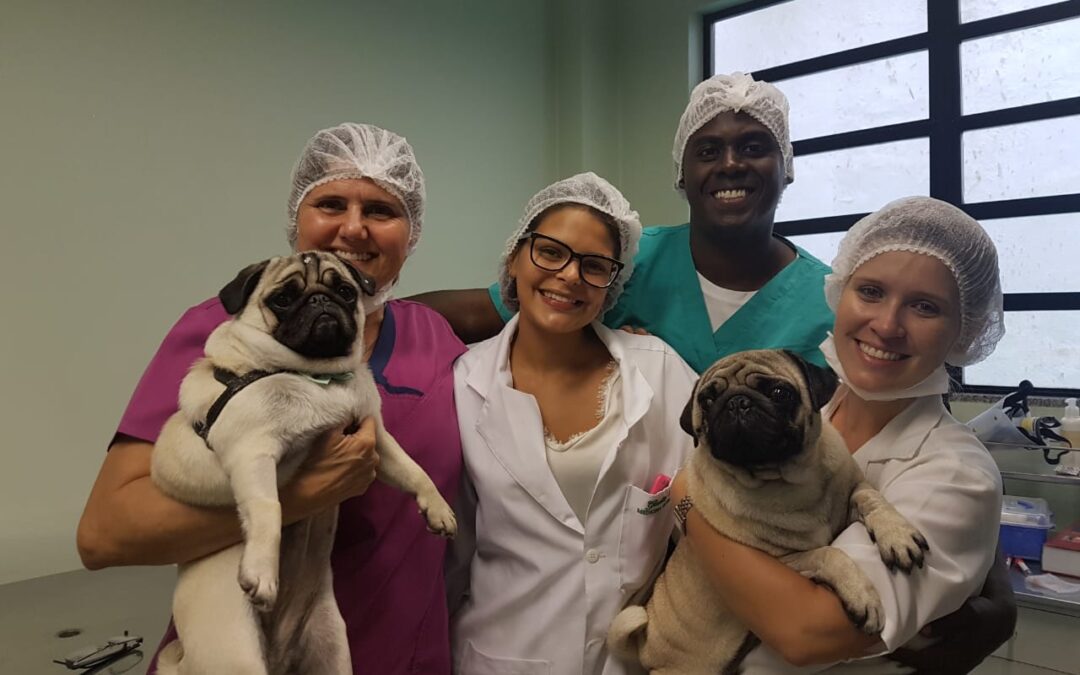 Ciência ao alcance de todos: Veterinária da UFF recebe crianças e adultos em evento aberto à comunidade