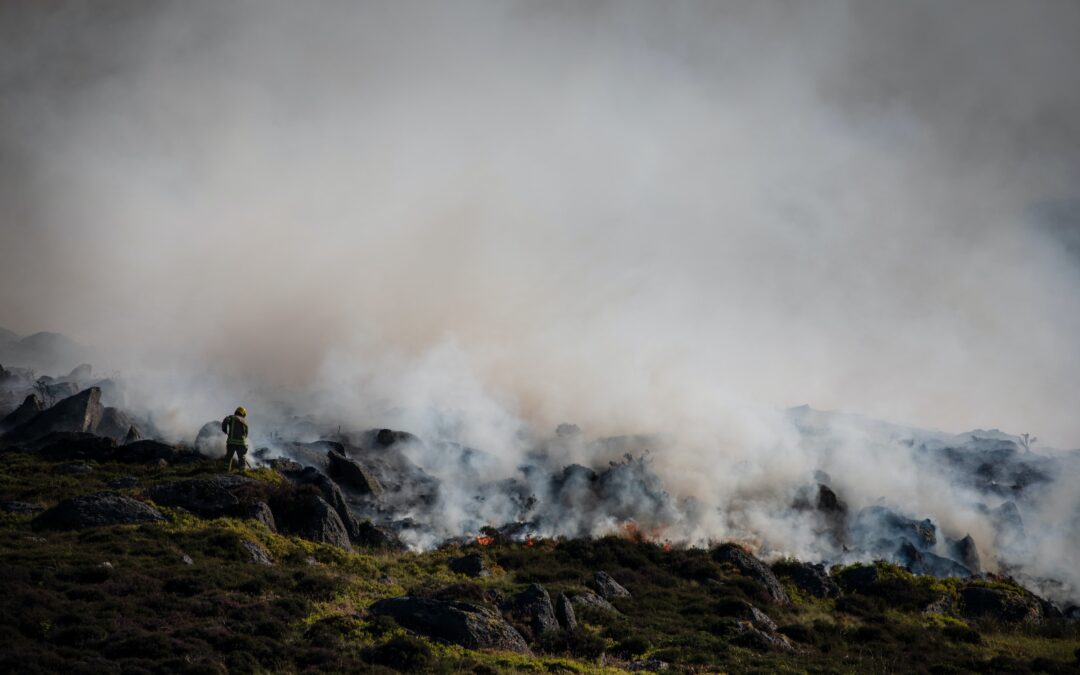 Política ambiental do Brasil na mira do consumidor europeu: UFF integra pesquisa internacional sobre o tema