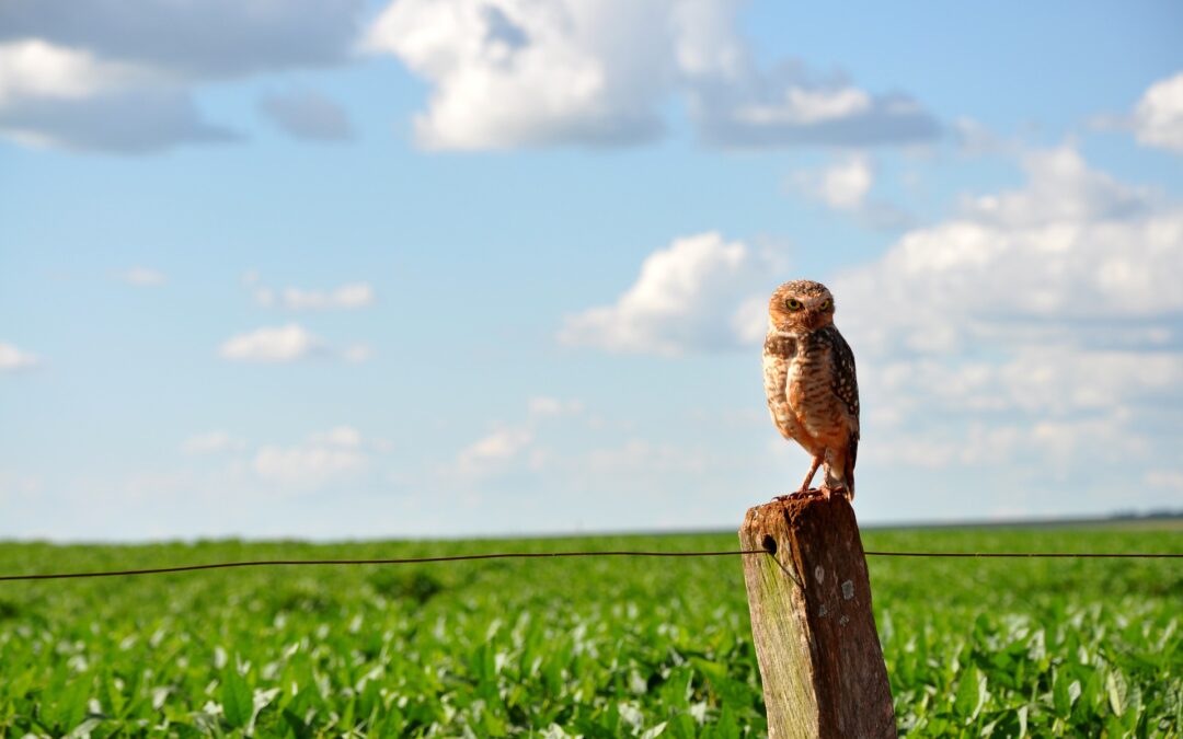 Experiências do Brasil Rural: UFF desenvolve projeto turístico em nível nacional