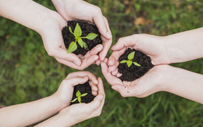 Contribua para a criação do Plano de Logística Sustentável da UFF