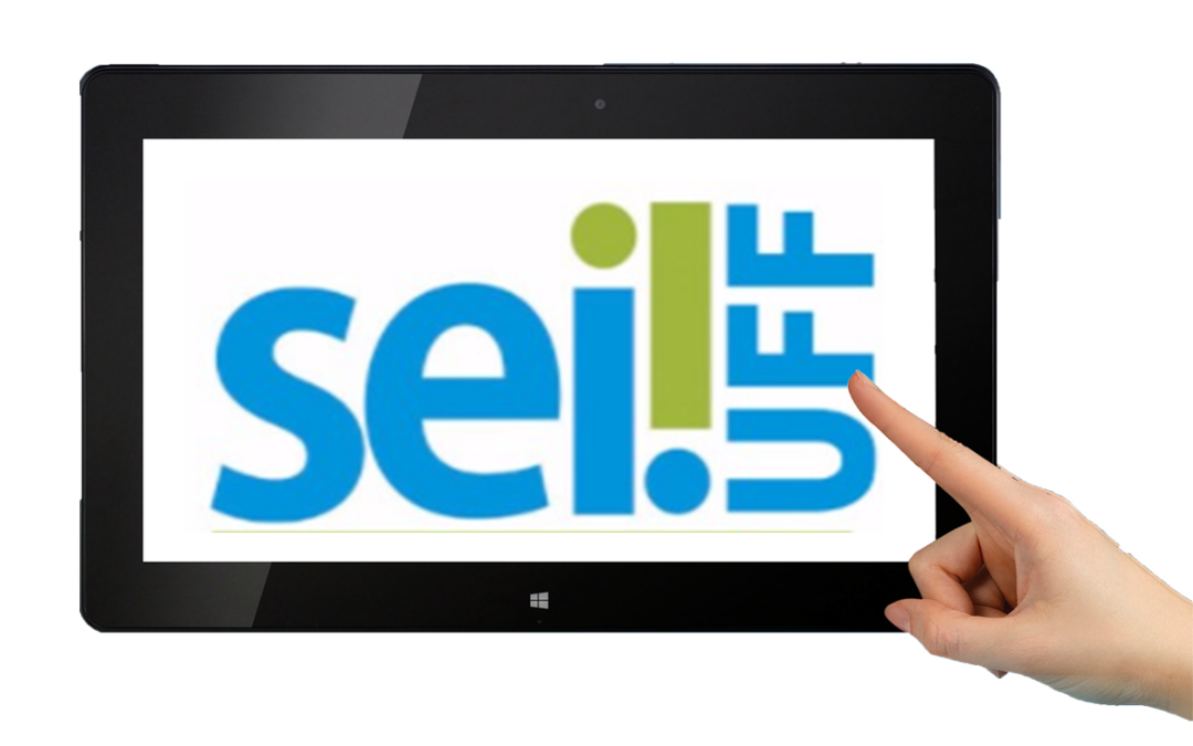 SEI é reconhecido pelo Ministério do Meio Ambiente e ONU