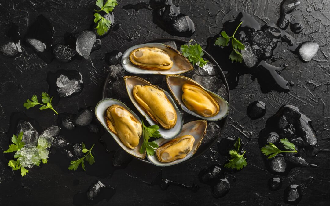 PDPA: Projeto de Produção de Mexilhões Apresenta Potencial Econômico e Cultural para Niterói