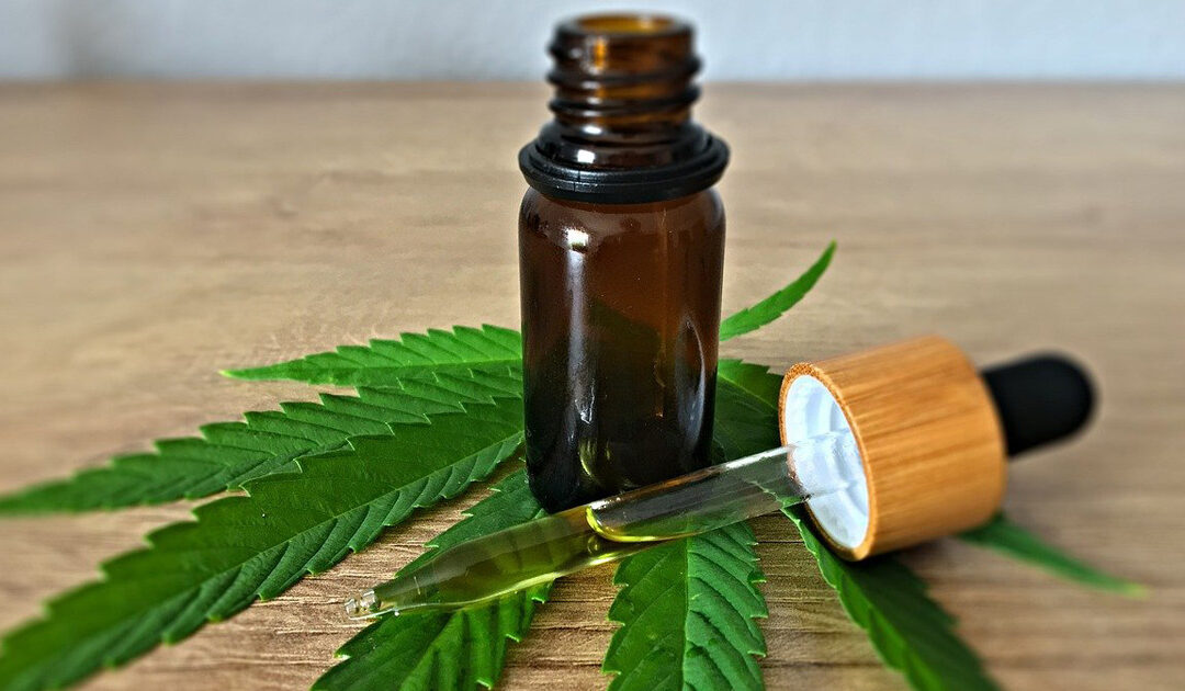 Pesquisa da UFF acompanha pacientes que tiveram permissão da justiça para o cultivo da maconha com fins terapêuticos