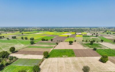 Crédito rural: um aliado contra o desmatamento
