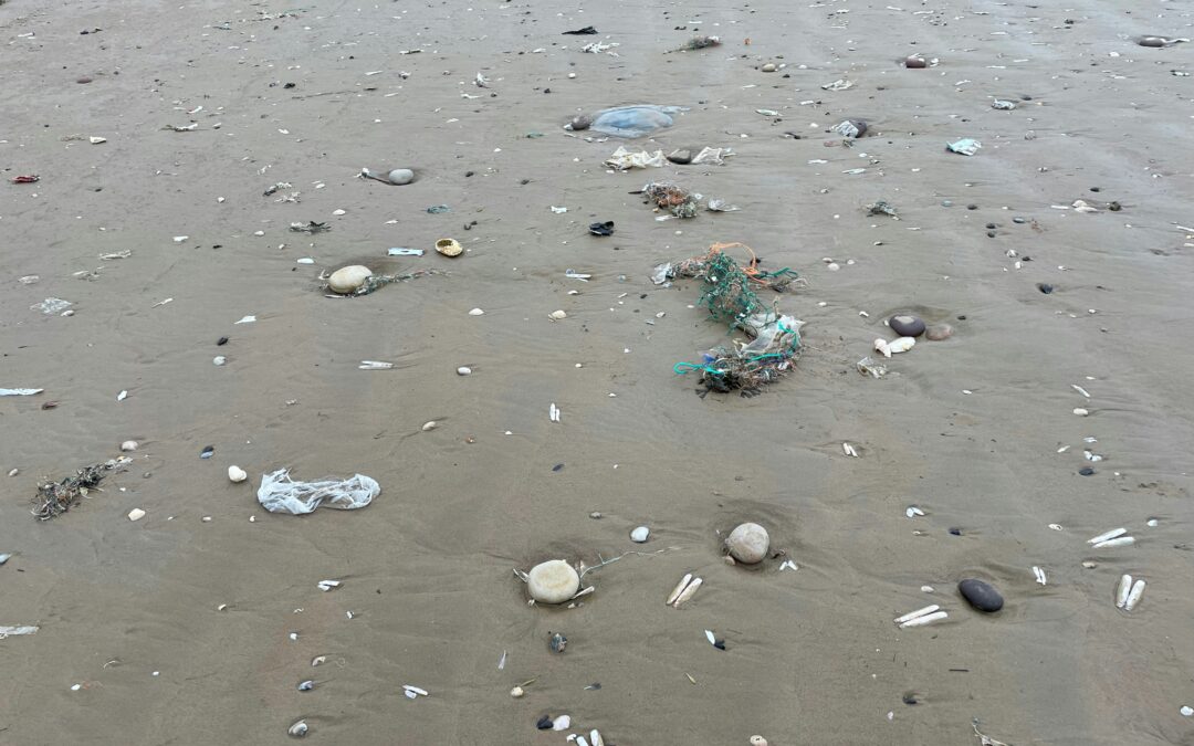 Pesquisa da UFF sobre microplásticos na Baía de Guanabara recebe prêmio na área de recursos hídricos