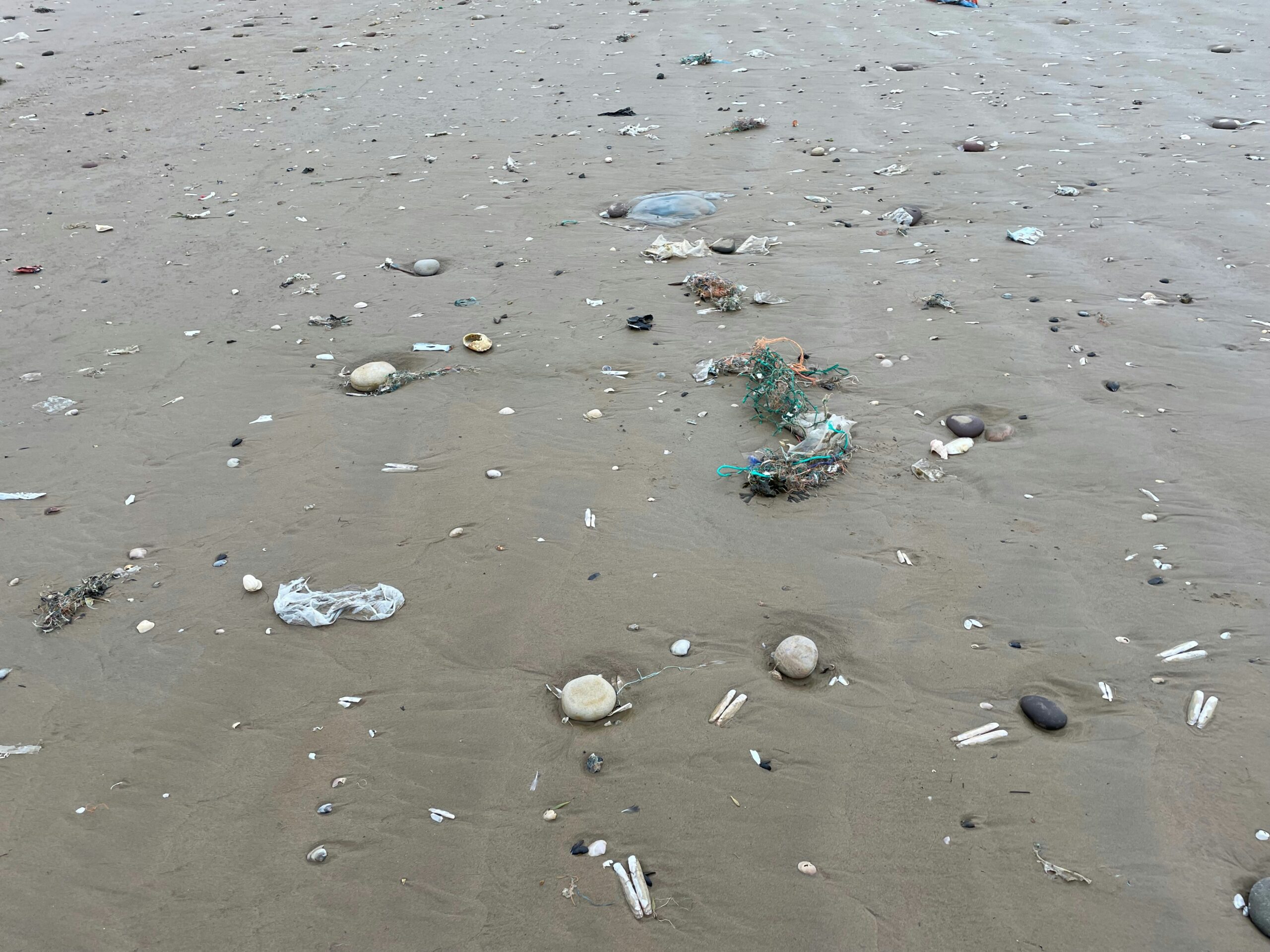 Microplásticos nos mares e regiões costeiras representam um grande problema ambiental – Foto: Unsplash.com Microplásticos nos mares e regiões costeiras representam um grande problema ambiental - Foto: Unsplash.com